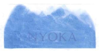 Trademark NYOKA