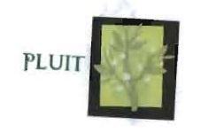 Trademark PLUIT