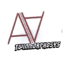 Trademark TWINMORPHOSYS