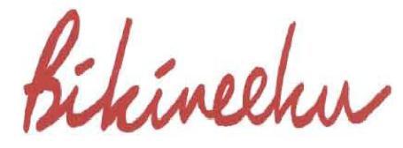 Trademark BIKINEEKU