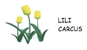 Trademark LILI CARCUS