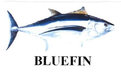 Trademark BLUEFIN + LUKISAN