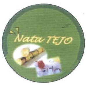 Trademark NATA TEJO + LUKISAN