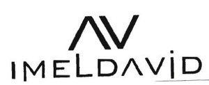 Trademark IMEL DAVID + LOGO