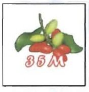 Trademark 35 M + LUKISAN BUAM MELINJO