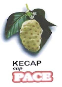 Trademark CAP PACE