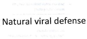 Trademark NATURAL VIRAL DEFENSE