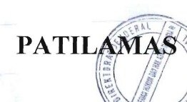 Trademark PATILAMAS
