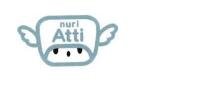 Trademark NURI ATTI