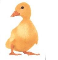 Trademark DUCKLING (FIGURATIVE)