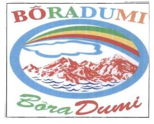 Trademark BORADUMI+LOGO