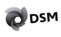 Trademark DSM + LOGO