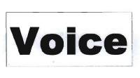 Trademark VOICE