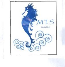 Trademark MTS INDONESIA + Logo