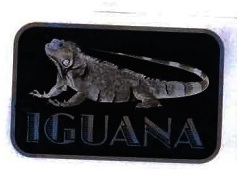 Trademark IGUANA