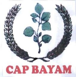 Trademark CAP BAYAM + Lukisan