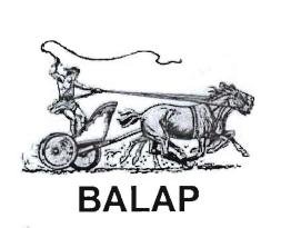 Trademark BALAP dan Lukisan