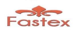 Trademark FASTEX + LOGO