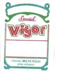 Trademark VIGOR