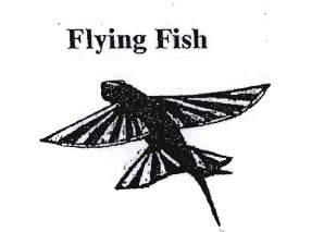 Trademark FLYING FISH