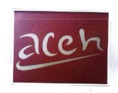 Trademark ACEH