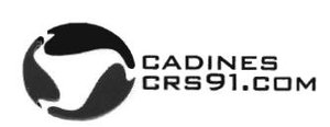 Trademark CADINES CRS91.COM