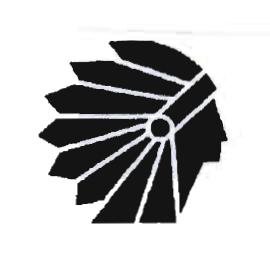 Trademark LOGO INDIAN ABSTRAK