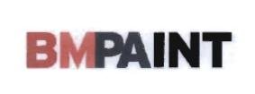 Trademark BMPAINT