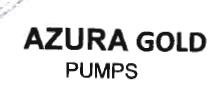 Trademark Azura Gold Pumps