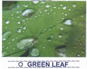 Trademark GREEN LEAF