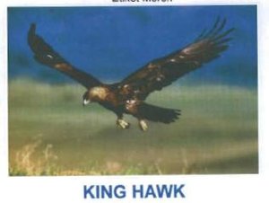 Trademark KING HAWK