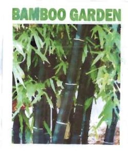 Trademark BAMBOO GARDEN