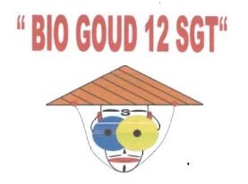 Trademark BIO GOUD 12 SGT