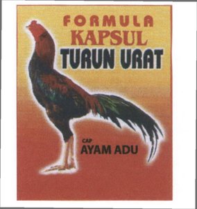 Trademark AYAM ADU