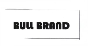 Trademark BULL BRAND