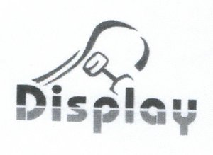 Trademark DISPLAY + logo