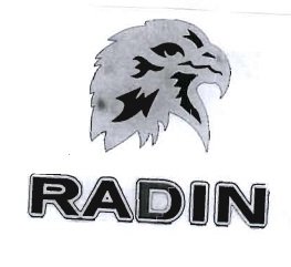 Trademark RADIN + Logo