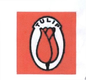 Trademark TULIP + LUKISAN