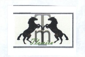 Trademark TLAMIRU + LOGO