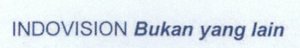 Trademark INDOVISION BUKAN YANG LAIN