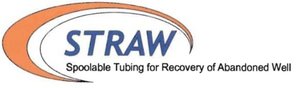 Trademark STRAW Spoolable Tubing for Recovery of Abandoned Well