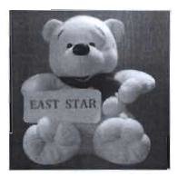 Trademark EAST STAR