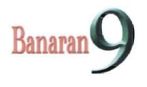 Trademark BANARAN 9