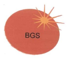 Trademark BGS + LOGO