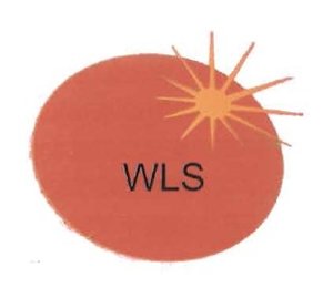 Trademark WLS + LOGO