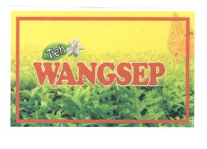 Trademark WANGSEP + Logo