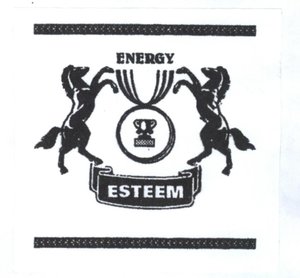 Trademark ESTEEM