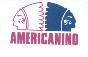 Trademark AMERICANINO + logo