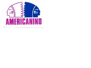 Trademark AMERICANINO + logo