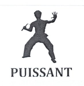 Trademark "PUISSANT dan Lukisan"